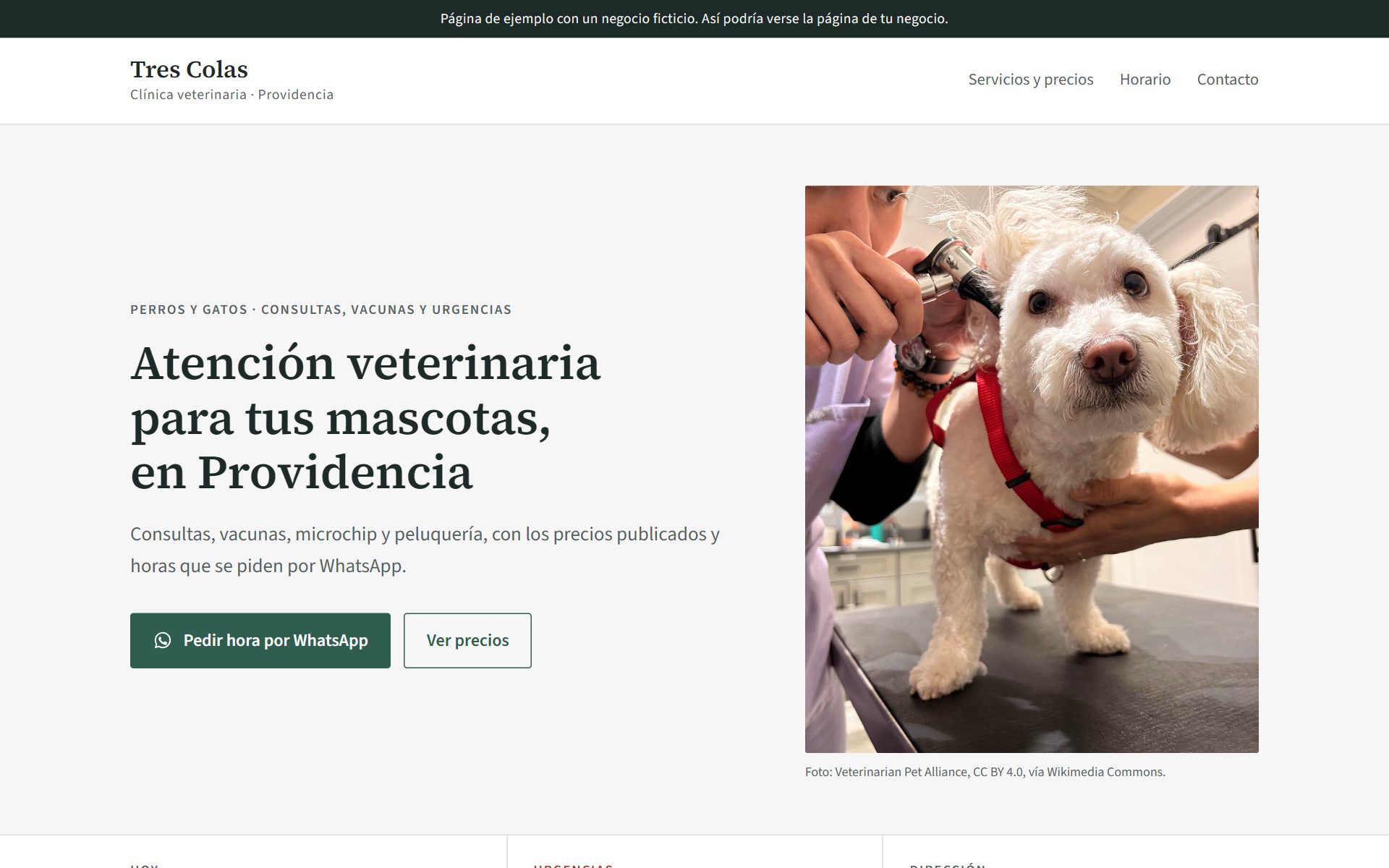 Portada de la página de ejemplo de la Veterinaria Tres Colas en un computador.