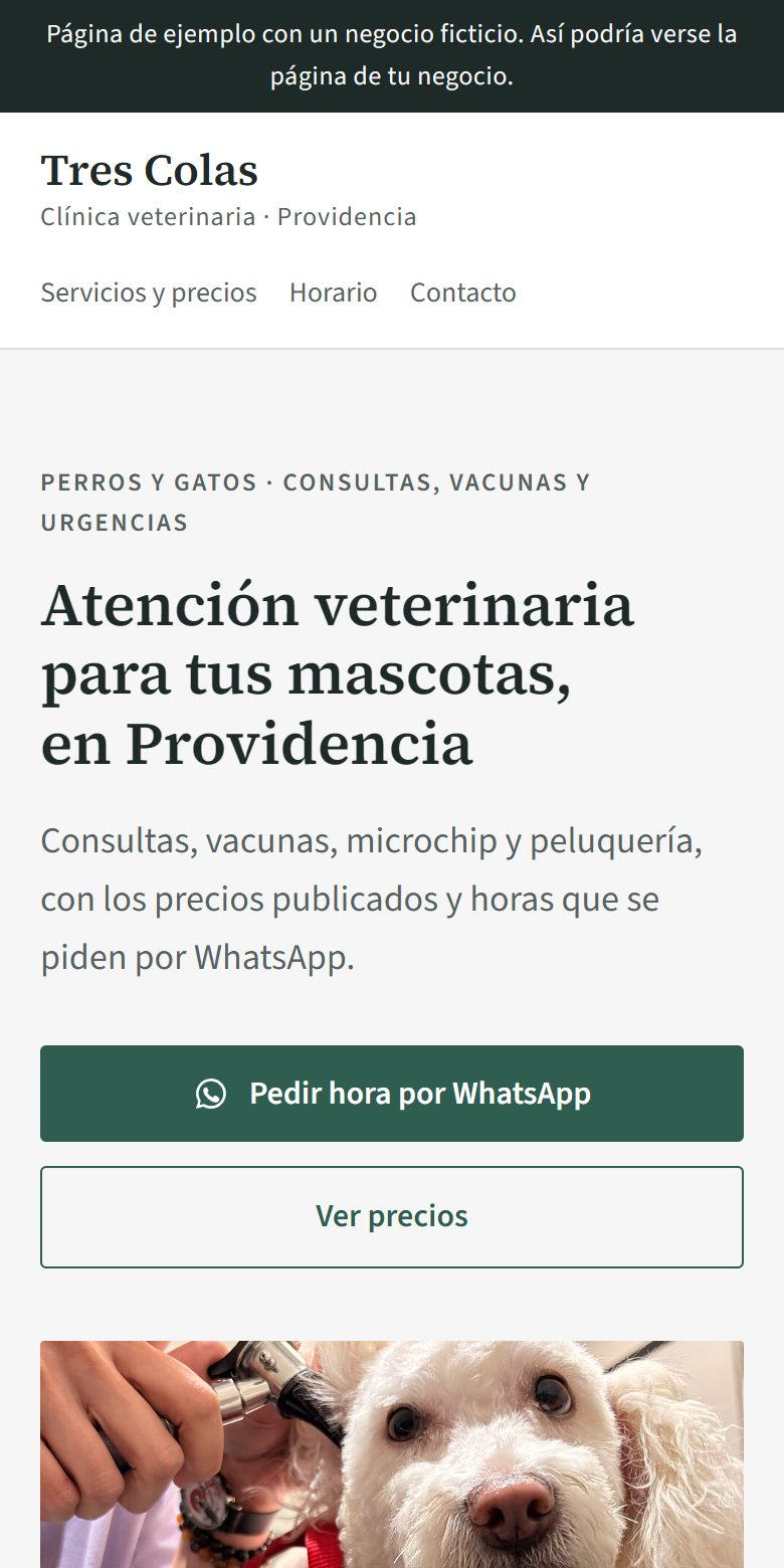 La misma página en un celular.